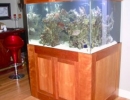 home_cube reef